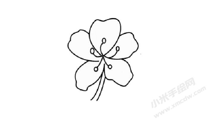 杜鵑花簡(jiǎn)筆畫創(chuàng)作步驟02.jpg