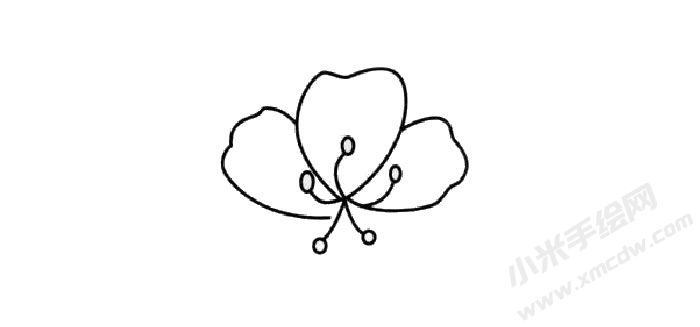 杜鵑花簡(jiǎn)筆畫創(chuàng)作步驟01.jpg
