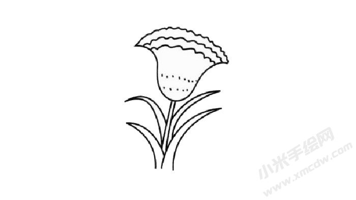 雞冠花簡筆畫創(chuàng)作步驟03.jpg