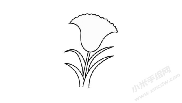 雞冠花簡筆畫創(chuàng)作步驟02.jpg
