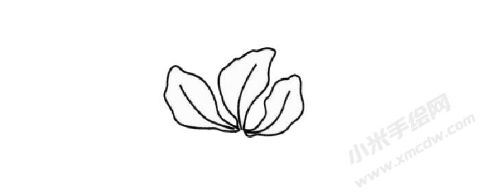 紫荊花簡筆畫創(chuàng)作步驟01.jpg