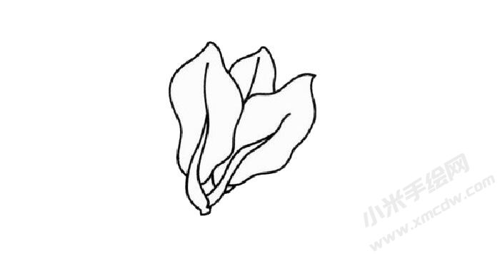 菠菜簡筆畫創(chuàng)作步驟02.jpg