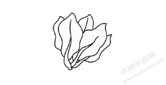 菠菜簡筆畫創(chuàng)作步驟03.jpg