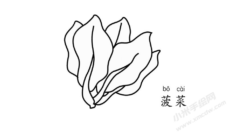 菠菜簡筆畫圖片