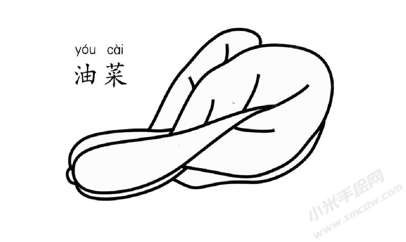 油菜簡筆畫圖片
