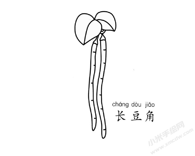 長豆角簡筆畫圖片