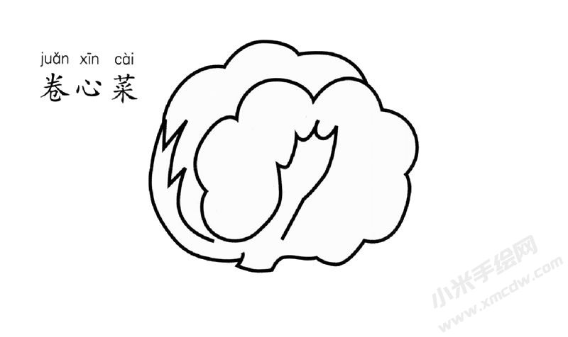 卷心菜家筆畫圖片