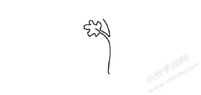 香菜簡(jiǎn)筆畫步驟01.jpg