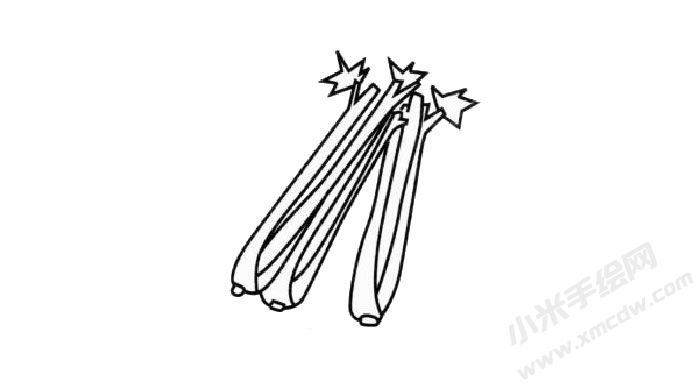 芹菜簡(jiǎn)筆畫創(chuàng)作步驟03.jpg