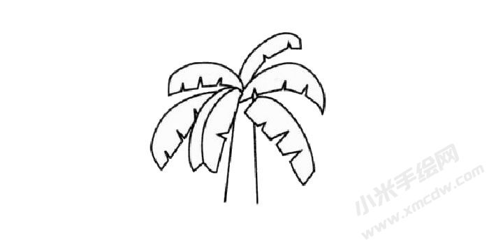 芭蕉樹兒童簡(jiǎn)筆畫步驟03.jpg