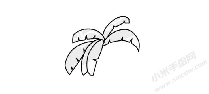 芭蕉樹兒童簡(jiǎn)筆畫步驟01.jpg