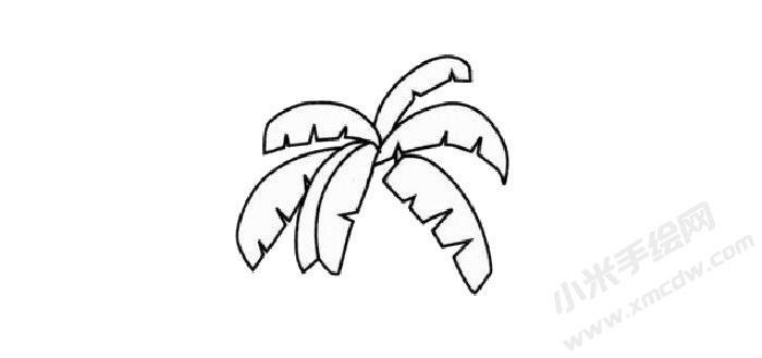 芭蕉樹兒童簡(jiǎn)筆畫步驟02.jpg