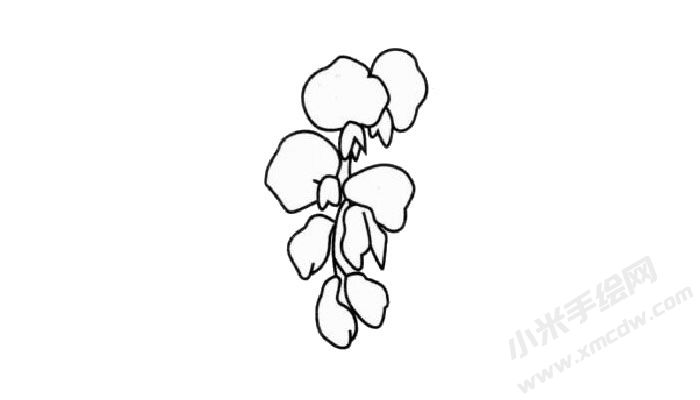 紫藤簡筆畫創(chuàng)作步驟03.jpg