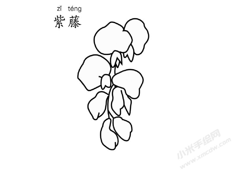 紫藤簡筆畫圖片