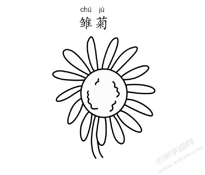 雛菊簡筆畫圖片