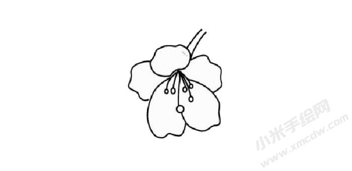 櫻花簡筆畫創(chuàng)作步驟02.jpg