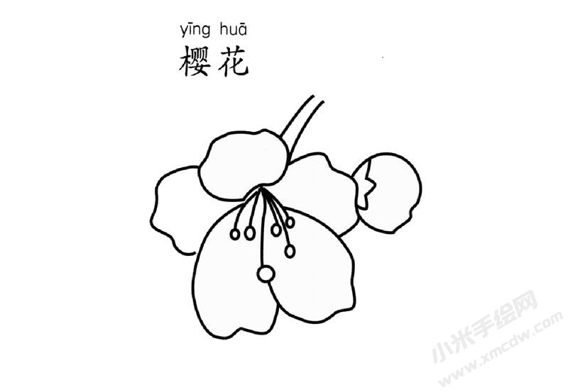櫻花簡筆畫圖片