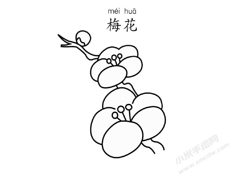 梅花兒童簡(jiǎn)筆畫圖片