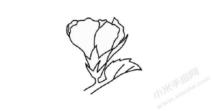 木槿花簡筆畫創(chuàng)作步驟03.jpg