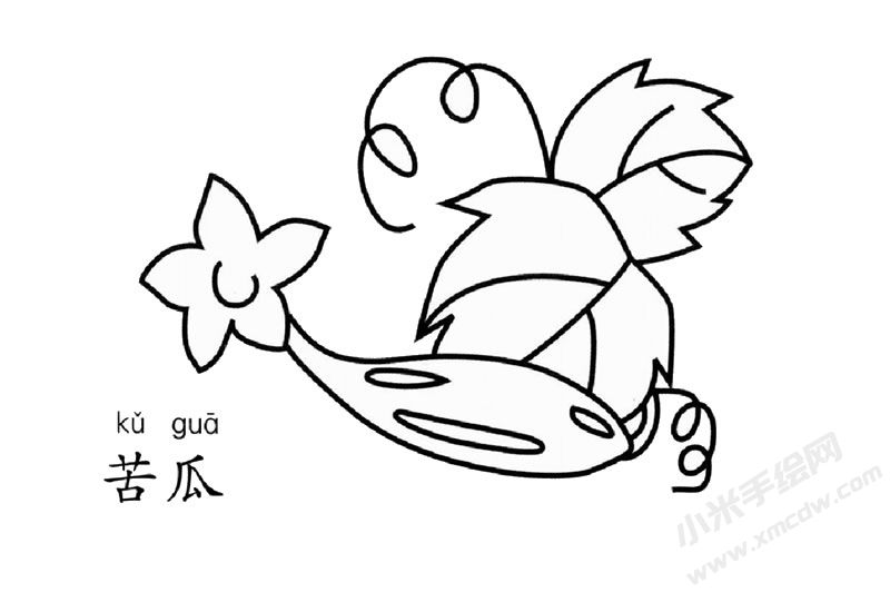 苦瓜簡筆畫圖片