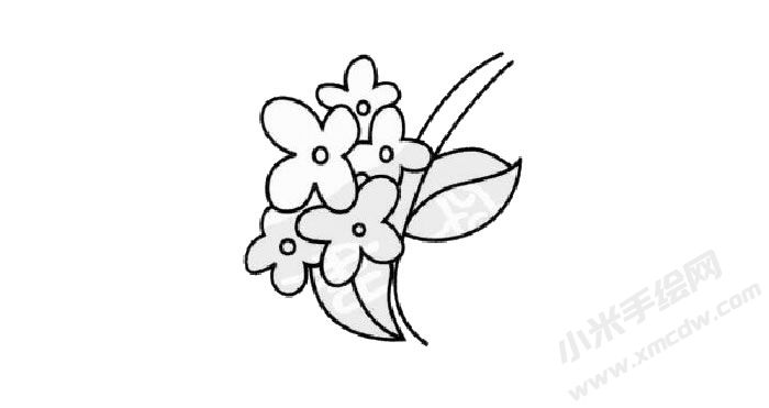 桂花簡筆畫創(chuàng)作步驟03.jpg