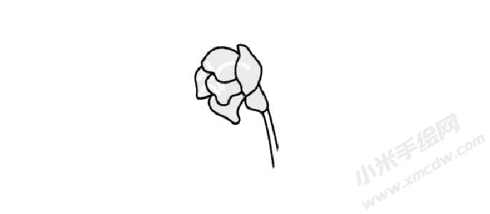 菖蒲簡筆畫創(chuàng)作步驟01.jpg