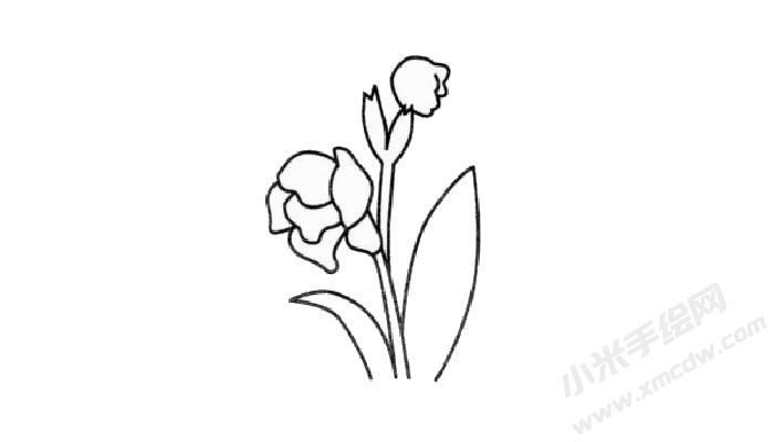 菖蒲簡筆畫創(chuàng)作步驟03.jpg