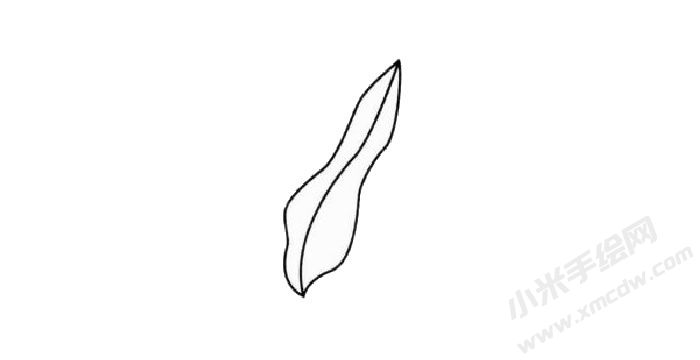 美人蕉簡(jiǎn)筆畫創(chuàng)作步驟01.jpg