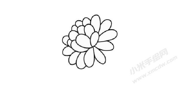 金盞菊簡(jiǎn)筆畫創(chuàng)作步驟02.jpg