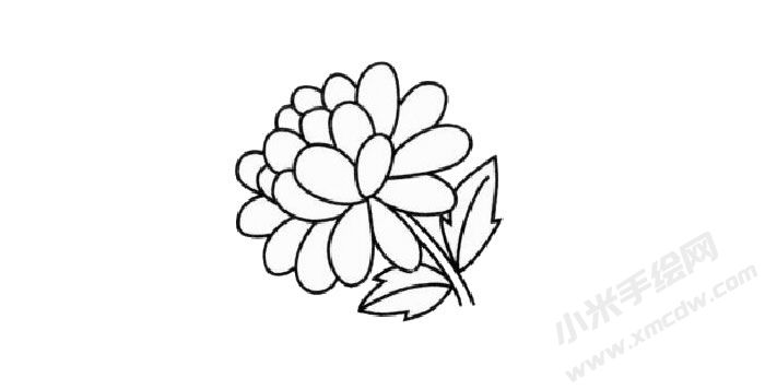 金盞菊簡(jiǎn)筆畫創(chuàng)作步驟03.jpg