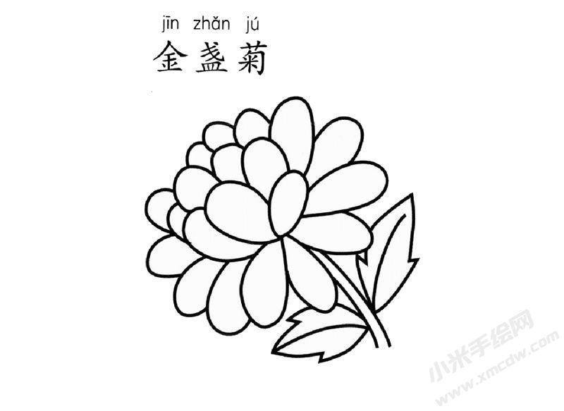 金盞菊簡(jiǎn)筆畫圖片