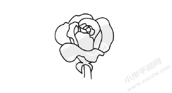 薔薇簡筆畫創(chuàng)作步驟03.jpg