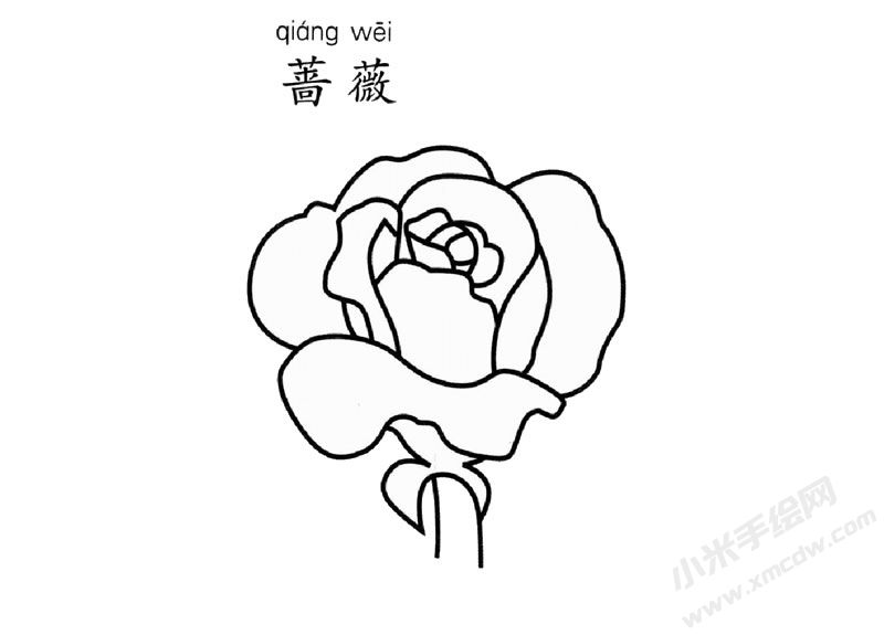 薔薇簡筆畫圖片