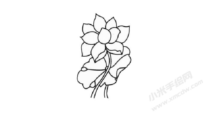 荷花兒童簡(jiǎn)筆畫(huà)步驟03.jpg