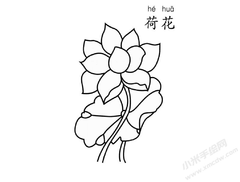 荷花兒童簡(jiǎn)筆畫(huà)圖片