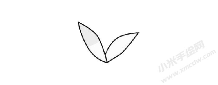 報(bào)春花簡筆畫創(chuàng)作步驟01.jpg