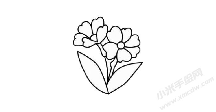 報(bào)春花簡筆畫創(chuàng)作步驟02.jpg
