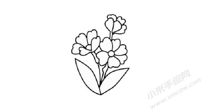 報(bào)春花簡筆畫創(chuàng)作步驟03.jpg