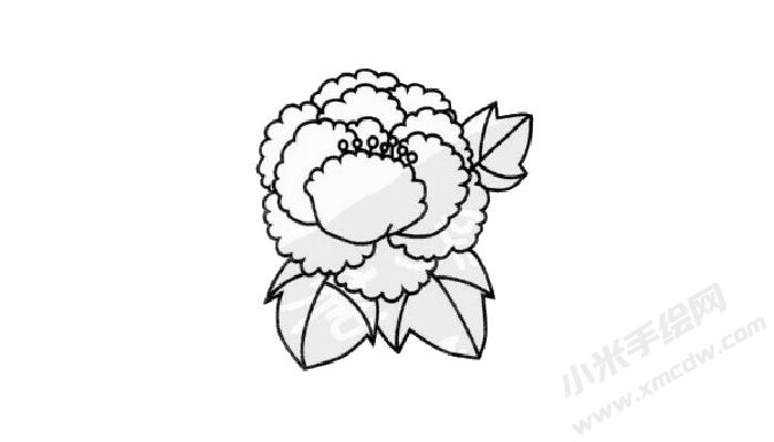 牡丹花簡筆畫創(chuàng)作步驟03.jpg