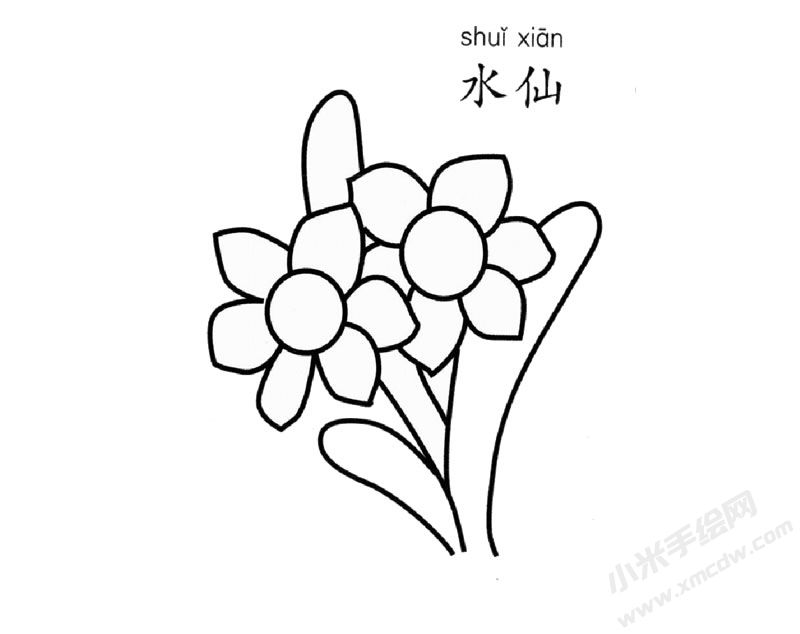 水仙花兒童簡(jiǎn)筆畫(huà)圖片