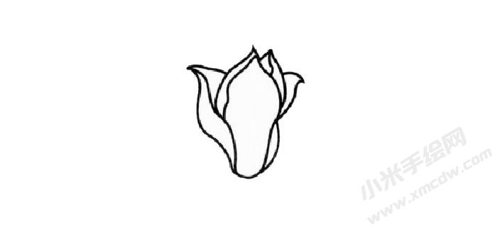 玉蘭花簡(jiǎn)筆畫創(chuàng)作步驟01.jpg