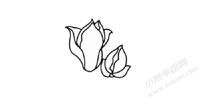 玉蘭花簡(jiǎn)筆畫創(chuàng)作步驟02.jpg