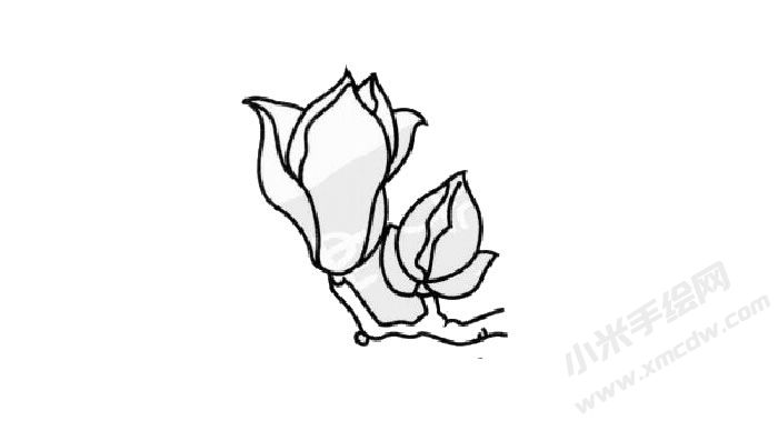 玉蘭花簡(jiǎn)筆畫創(chuàng)作步驟03.jpg