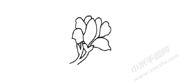 蘭花簡(jiǎn)筆畫創(chuàng)作步驟02.jpg