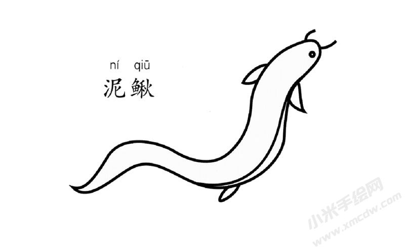 泥鰍簡筆畫圖片