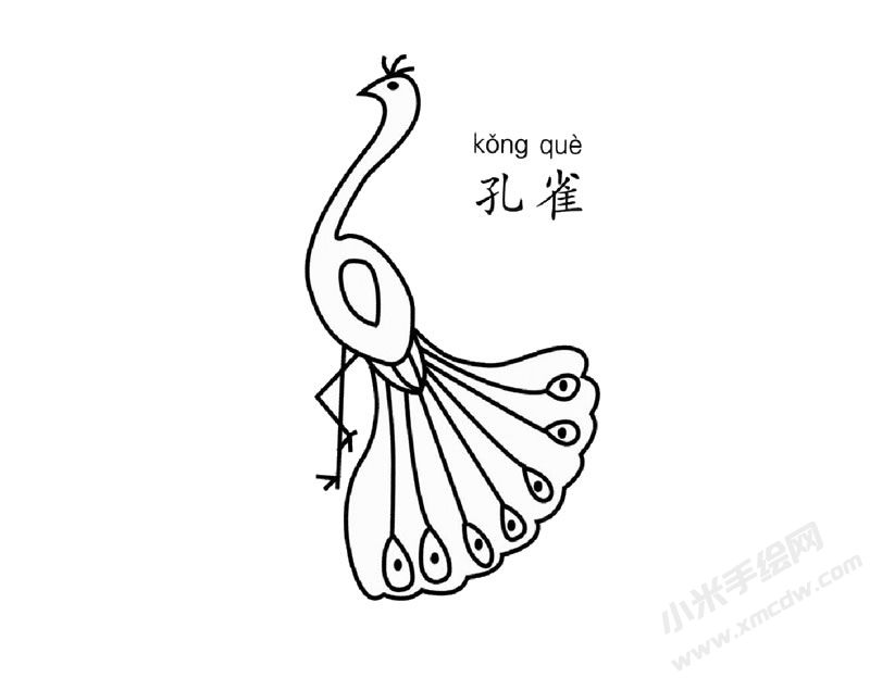 孔雀兒童簡(jiǎn)筆畫圖片