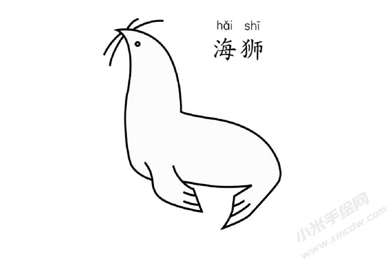 海獅兒童簡筆畫圖片