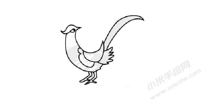 野雞簡(jiǎn)筆畫(huà)創(chuàng)作步驟03.jpg