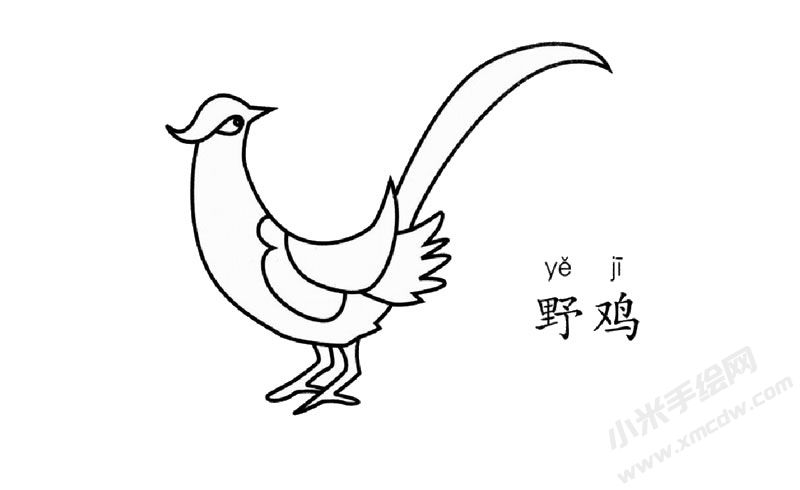 野雞簡(jiǎn)筆畫(huà)圖片