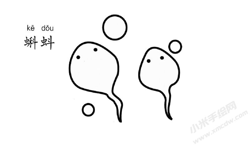 蝌蚪簡筆畫圖片